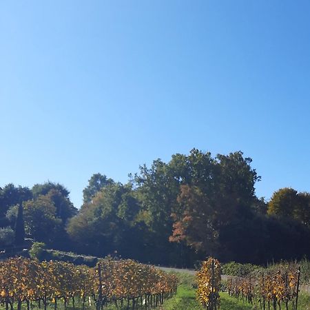 Acero Rosso B&B In Franciacorta Erbusco Zewnętrze zdjęcie