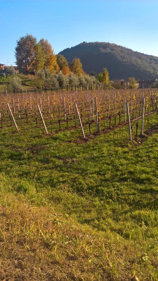 Acero Rosso B&B In Franciacorta Erbusco Zewnętrze zdjęcie