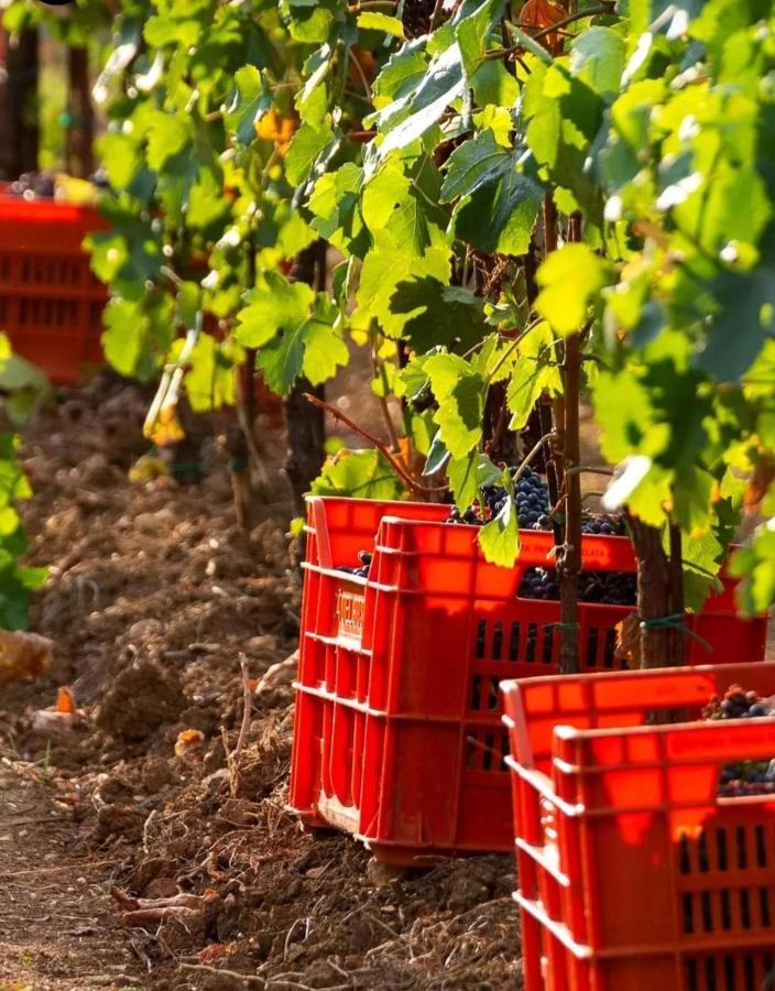 Acero Rosso B&B In Franciacorta Erbusco Zewnętrze zdjęcie