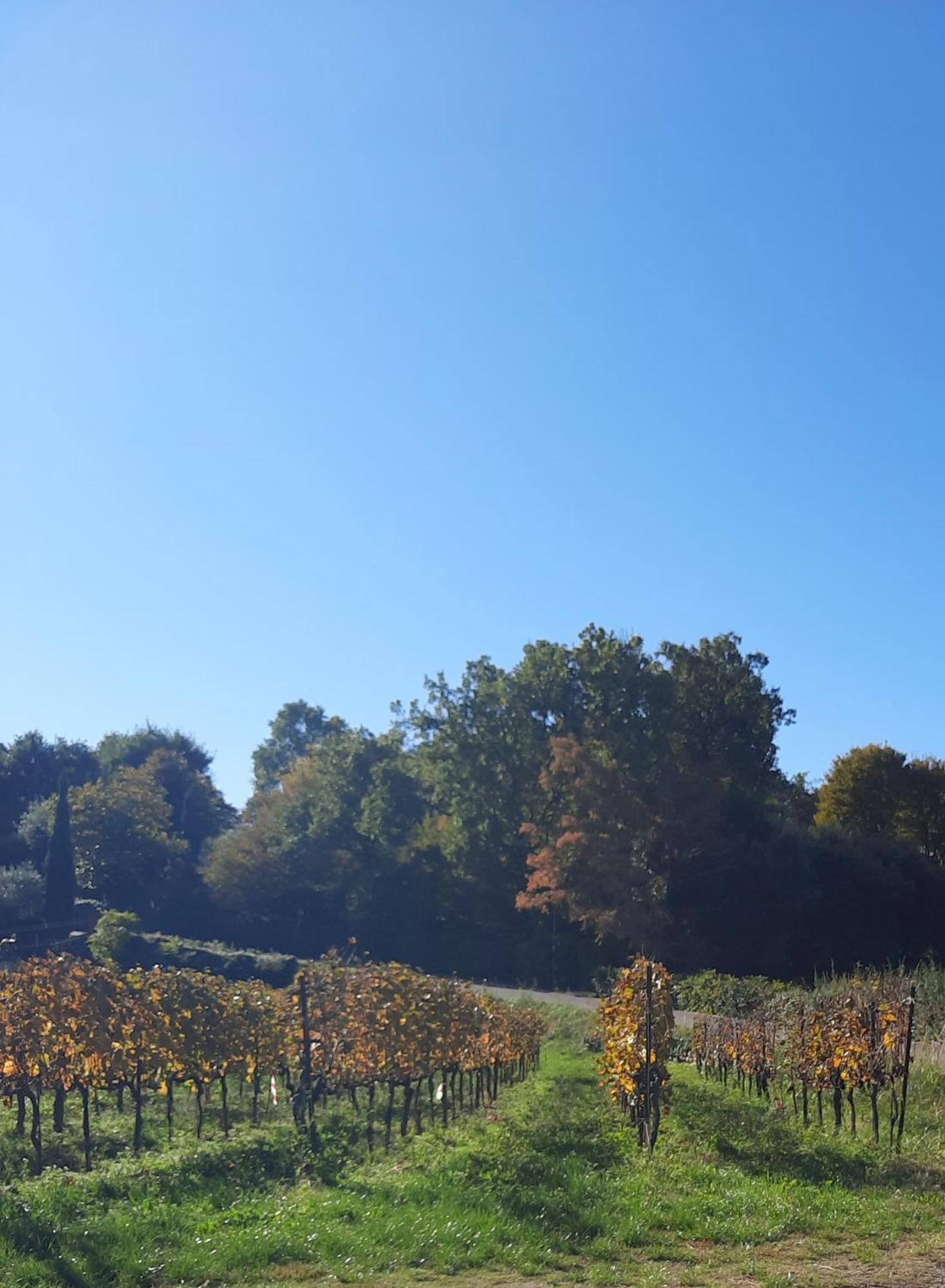 Acero Rosso B&B In Franciacorta Erbusco Zewnętrze zdjęcie